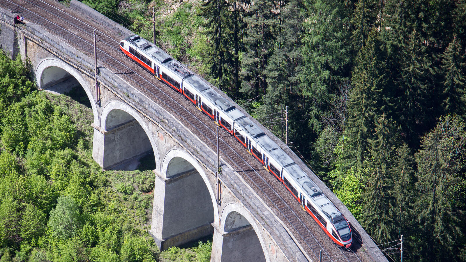 Zug auf Brücke umgeben von Wald, Kameraperspektive von oben