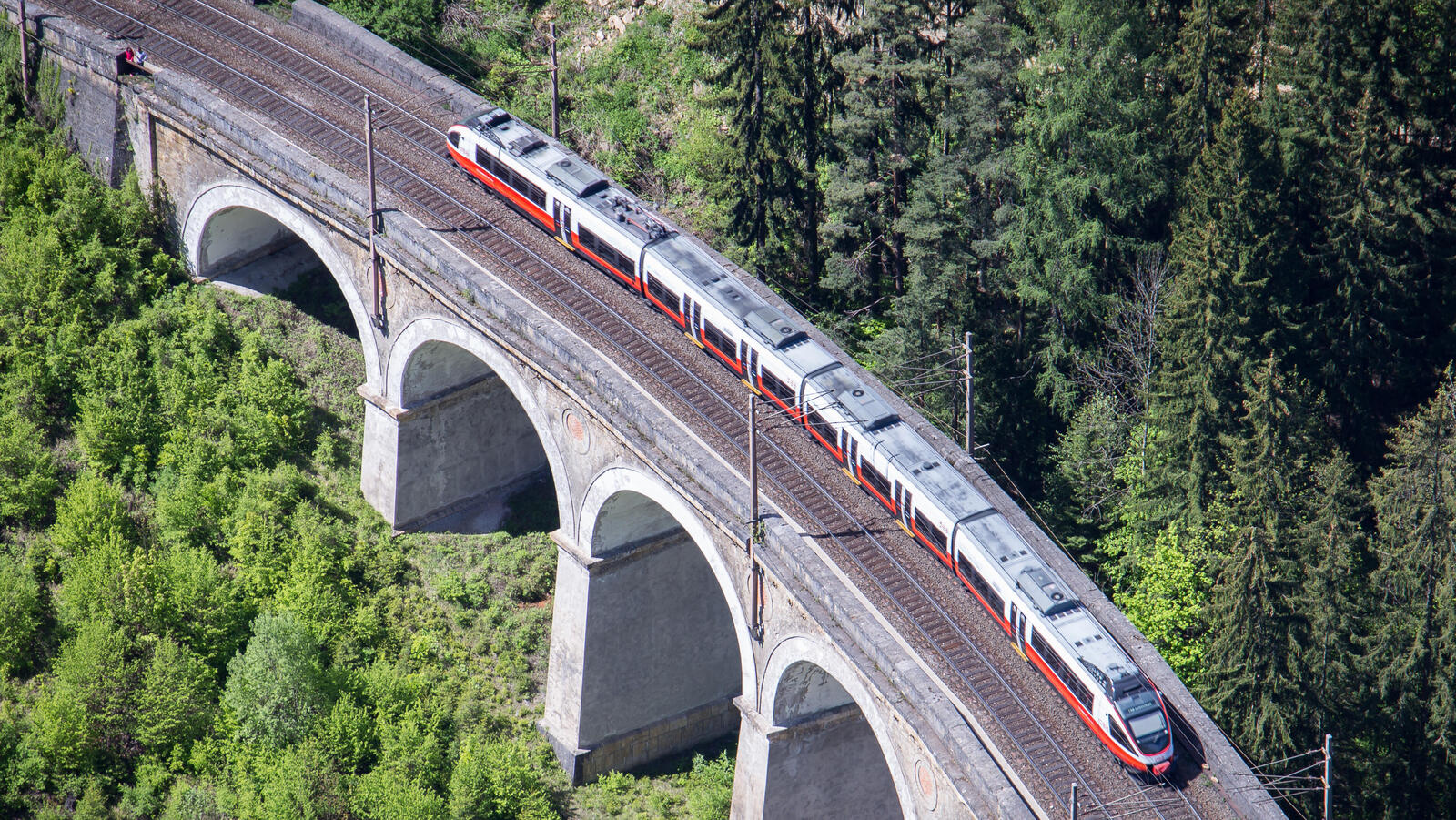 Zug auf Brücke umgeben von Wald, Kameraperspektive von oben