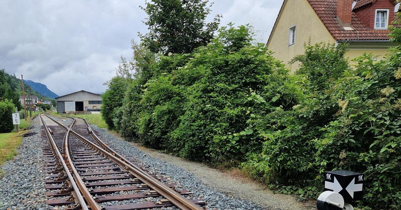 Anschlussgleis führt an grünen Büschen und einem Haus vorbei.